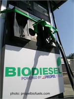 Biodiesel Fuel